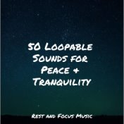 50 Loopable Sounds for Peace & Tranquility