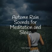 Autumn Rain Sounds for Meditation and Sleep