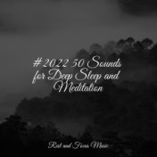 #2022 50 Sounds for Deep Sleep and Meditation