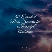 50 Essential Rain Sounds for a Peaceful Ambience