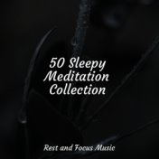 50 Sleepy Meditation Collection