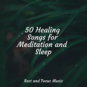 50 Healing Songs for Meditation and Sleep