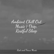 Ambient Chill Out Music | Deep, Restful Sleep