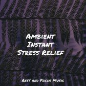 Ambient Instant Stress Relief