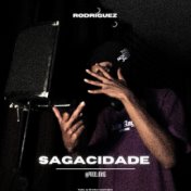 Sagacidade