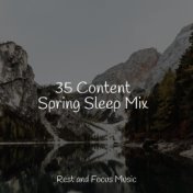 35 Content Spring Sleep Mix