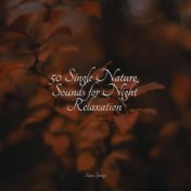 50 Single Nature Sounds for Night Relaxation