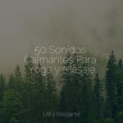 50 Sonidos Calmantes Para Yoga y Masaje