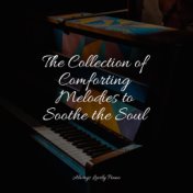 The Collection of Comforting Melodies to Soothe the Soul