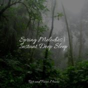 Spring Melodies | Instant Deep Sleep