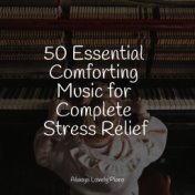 50 Essential Comforting Music for Complete Stress Relief