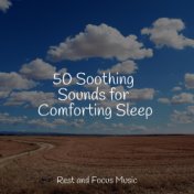 50 Soothing Sounds for Comforting Sleep