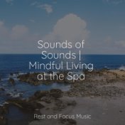 Sounds of Sounds | Mindful Living at the Spa