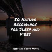 50 Nature Recordings for Sleep and Vibes