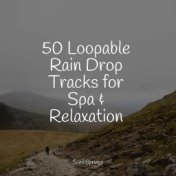 50 Beautiful Rain Sounds