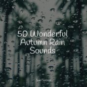 50 Loopable Rain Sounds for Sleep and Chilling Out