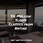 50 Mellow Sleepy Classics from Nature