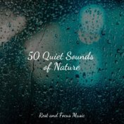 50 Quiet Sounds of Nature
