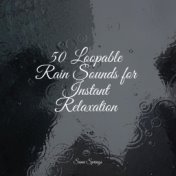 50 Loopable Rain Sounds for Instant Relaxation