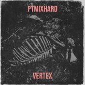 PTmixHard