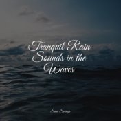 Tranquil Rain Sounds in the Waves