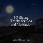 50 Sleepy Tracks for Spa and Meditation