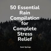50 Essential Rain Compilation for Complete Stress Relief