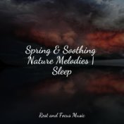 Spring & Soothing Nature Melodies | Sleep