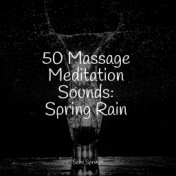 50 Massage Meditation Sounds: Spring Rain