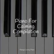 Piano For Calming Compilation