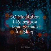 50 Meditation & Relaxation Rain Sounds for Sleep