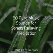 50 Pure Music Sounds for Stress Relieving Meditation