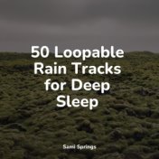 50 Loopable Rain Tracks for Deep Sleep