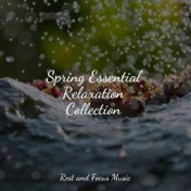 Spring Essential Relaxation Collection