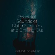 Peaceful Sounds of Nature | Sleep and Chilling Out