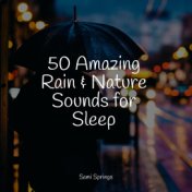 50 Amazing Rain & Nature Sounds for Sleep