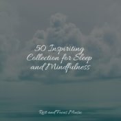 50 Inspiriting Collection for Sleep and Mindfulness