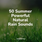 50 Calming Rain Sounds for Meditation & Meditation