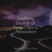 Soothing Sounds of Sleep | Spa & Relaxation