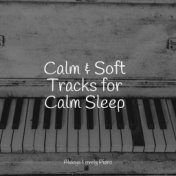 Calm & Soft Tracks for Calm Sleep