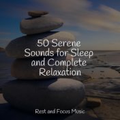 50 Serene Sounds for Sleep and Complete Relaxation