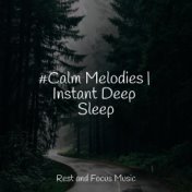 #Calm Melodies | Instant Deep Sleep