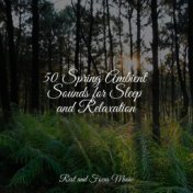 50 Spring Ambient Sounds for Sleep and Relaxation