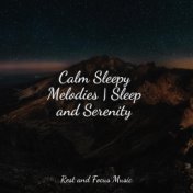 Calm Sleepy Melodies | Sleep and Serenity