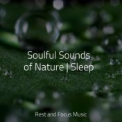 Soulful Sounds of Nature | Sleep