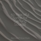 50 Peaceful Songs for Calming Sounds