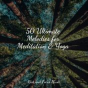 50 Ultimate Melodies for Meditation & Yoga