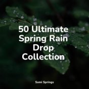 50 Ultimate Spring Rain Drop Collection
