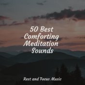 50 Best Comforting Meditation Sounds