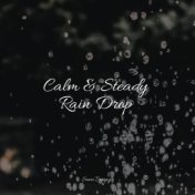 Calm & Steady Rain Drop